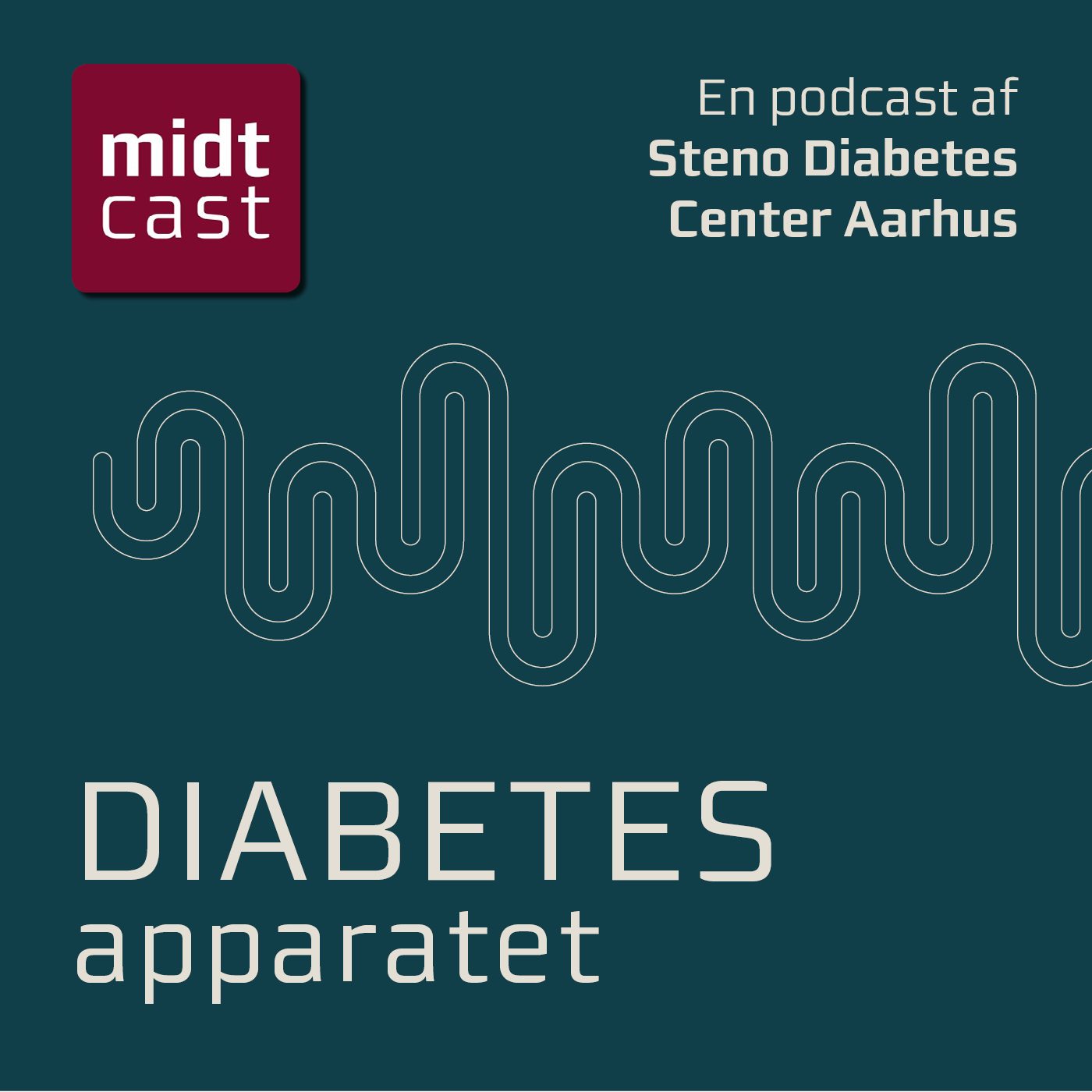 Coverbillede af diabetes apparatet