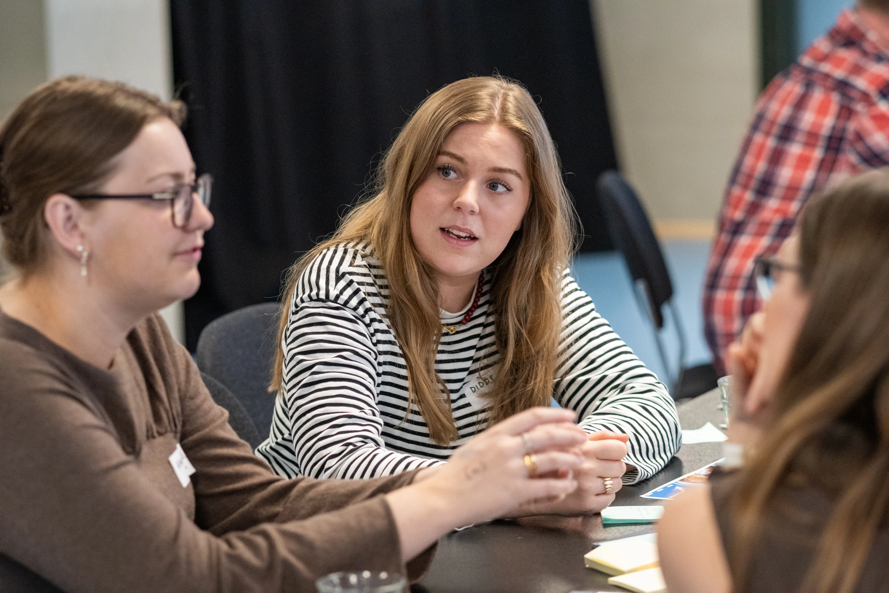 Billeder fra årsmøde 12