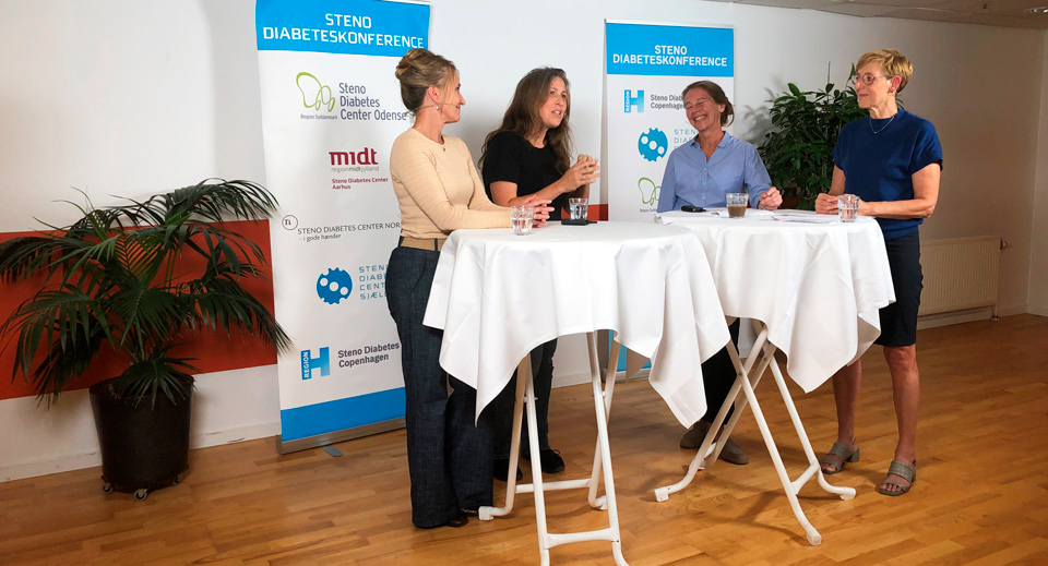 Billede fra konference