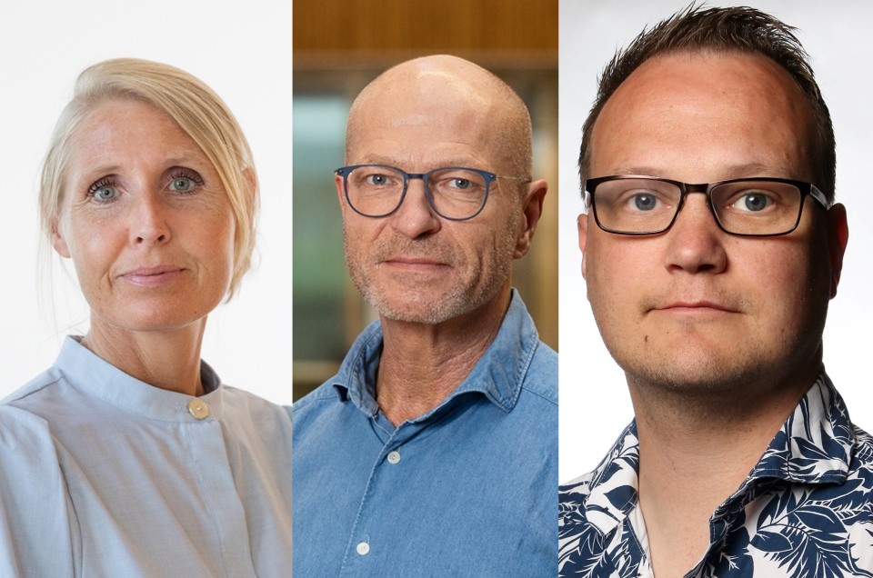 Tre Steno-forskere får bevillinger fra Danmarks Frie Forskningsfond
